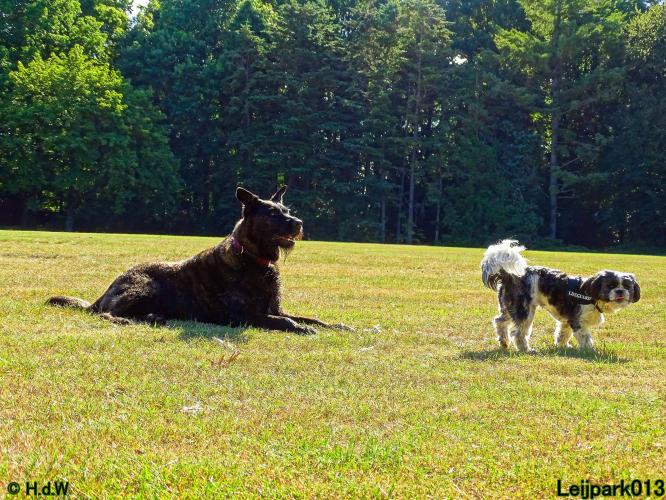 Leijpark013 Beestenboel 3 Augustus 2022
