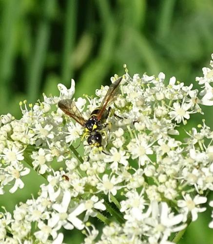 Leijpark013 8 &amp;9 &amp;10 &amp; 11 augustus 2022