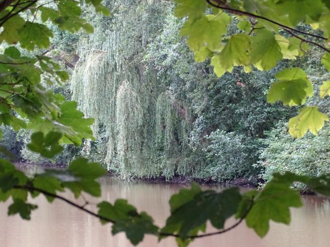 Leijpark013 8 &amp;9 &amp;10 &amp; 11 augustus 2022