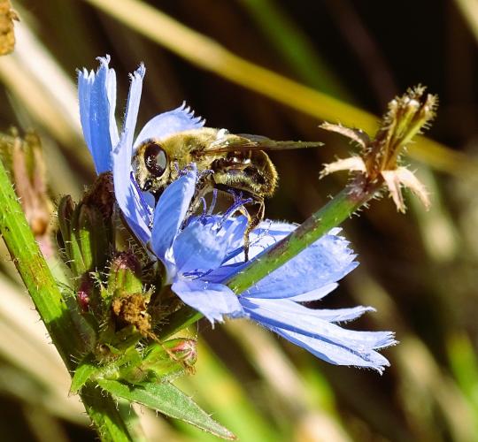 Leijpark013 8 &amp;9 &amp;10 &amp; 11 augustus 2022