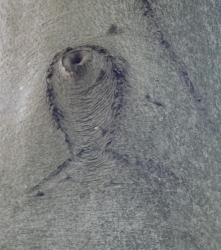 Leijpark013 8 &amp;9 &amp;10 &amp; 11 augustus 2022