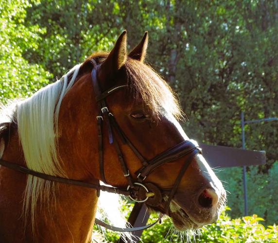 Leijpark013 8 &amp;9 &amp;10 &amp; 11 augustus 2022