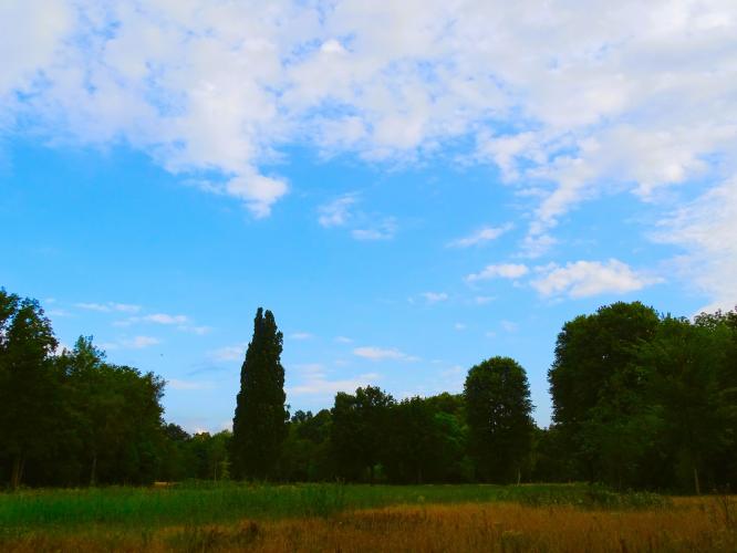 Leijpark013 8 &amp;9 &amp;10 &amp; 11 augustus 2022