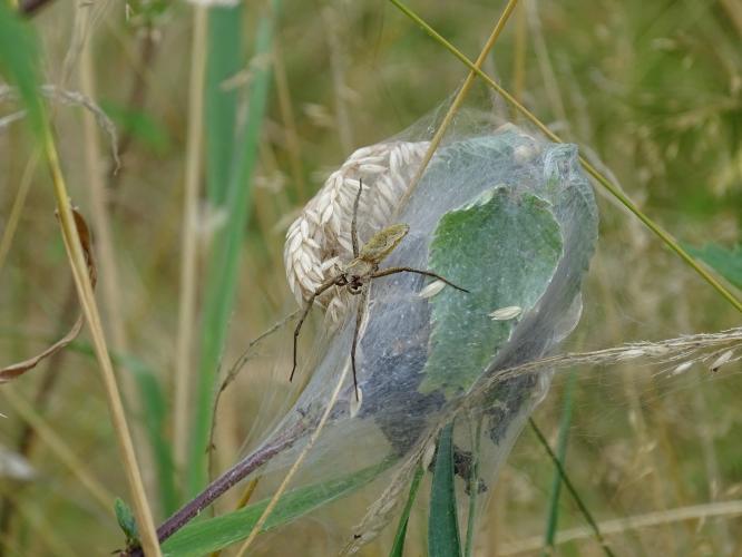 Leijpark013 8 &amp;9 &amp;10 &amp; 11 augustus 2022