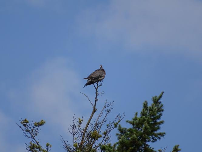 Leijpark013 8 &amp;9 &amp;10 &amp; 11 augustus 2022