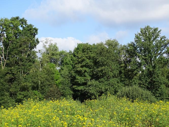 Leijpark013 8 &amp;9 &amp;10 &amp; 11 augustus 2022