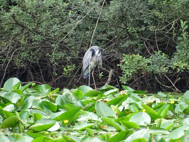 Leijpark013 8 &amp;9 &amp;10 &amp; 11 augustus 2022