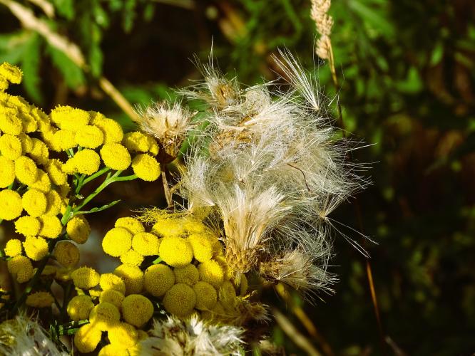 Leijpark013 8 &amp;9 &amp;10 &amp; 11 augustus 2022