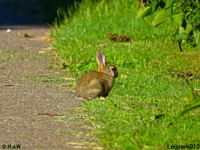 Leijpark013 8 &amp;9 &amp;10 &amp; 11 augustus 2022