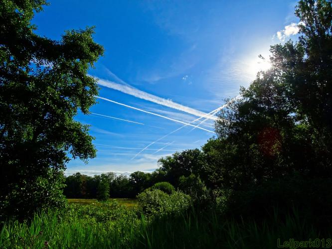 Leijpark013 8 &amp;9 &amp;10 &amp; 11 augustus 2022