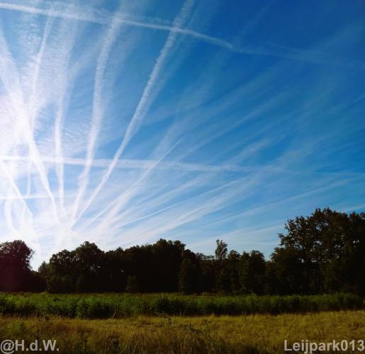 Leijpark012 12 &amp; 13 &amp;14 &amp; 15 augustus 2022