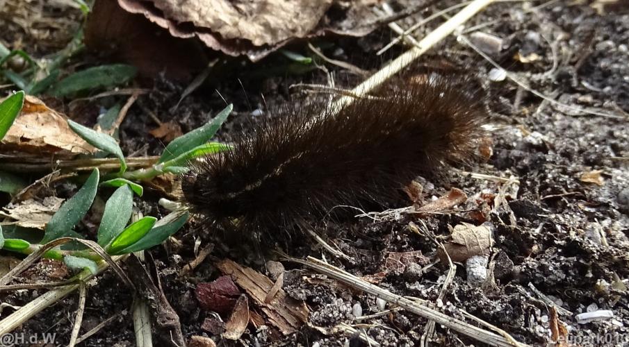 Leijpark012 12 &amp; 13 &amp;14 &amp; 15 augustus 2022