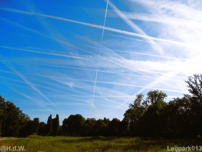 Leijpark012 12 &amp; 13 &amp;14 &amp; 15 augustus 2022