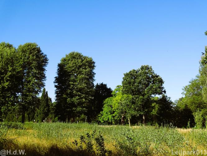 Leijpark012 12 &amp; 13 &amp;14 &amp; 15 augustus 2022