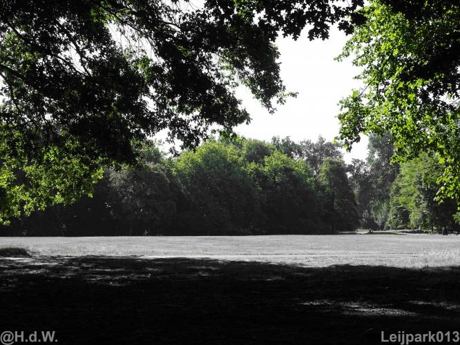 Leijpark012 12 &amp; 13 &amp;14 &amp; 15 augustus 2022