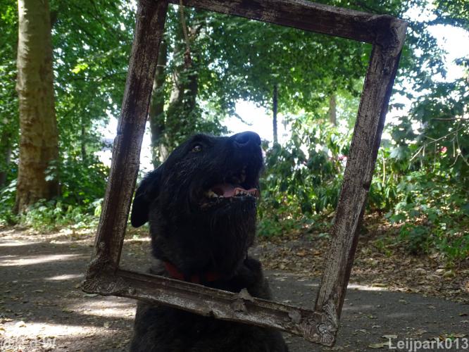 Leijpark013 Beestenboel 15 augustus 2022 