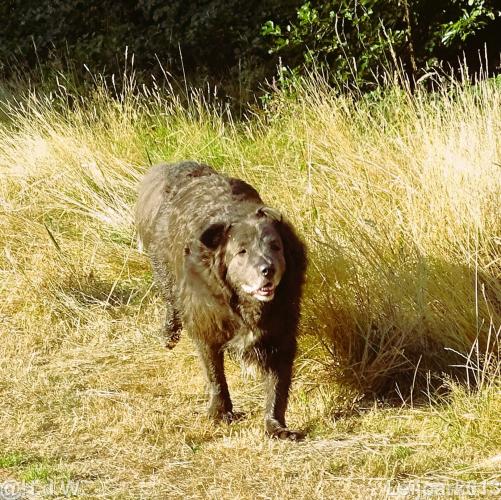 Leijpark013 Beestenboel 15 augustus 2022 
