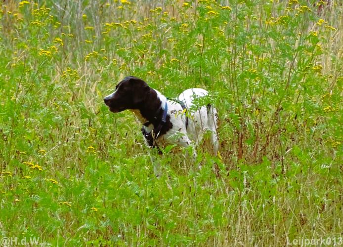 Leijpark013 Beestenboel 15 augustus 2022 