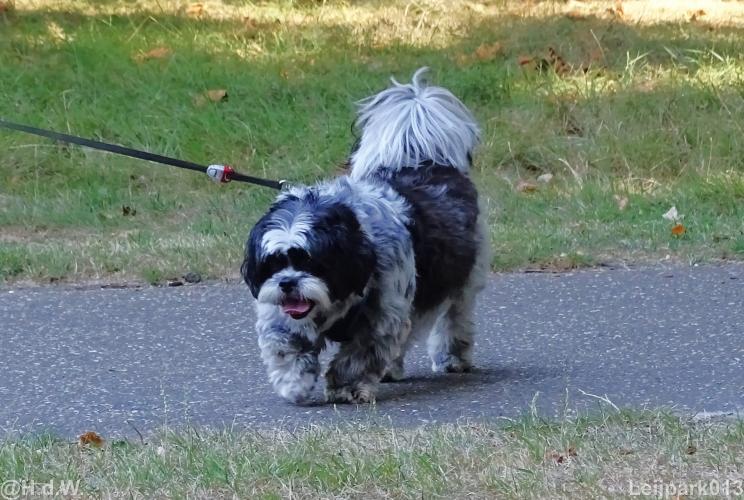 Leijpark013 Beestenboel 15 augustus 2022 
