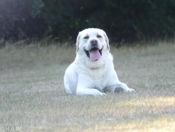 Leijpark013 Beestenboel 15 augustus 2022 