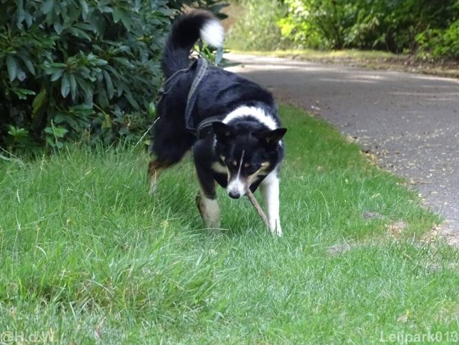 Leijpark013 Beestenboel 15 augustus 2022 