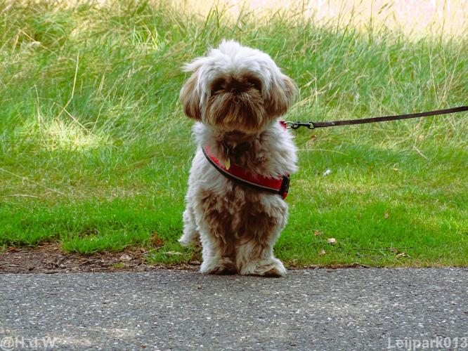 Leijpark013 Beestenboel 15 augustus 2022 