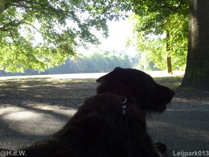 Leijpark013 Beestenboel 15 augustus 2022 