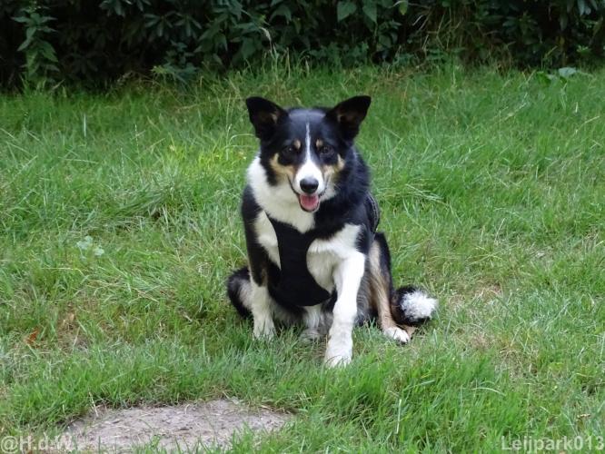 Leijpark013 Beestenboel 15 augustus 2022 