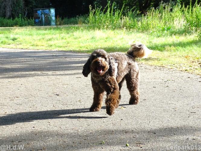 Leijpark013 Beestenboel 15 augustus 2022 