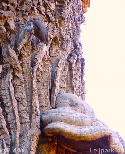 Leijpark 16 &amp; 17 &amp; 18 &amp; 19 augustus 2022 