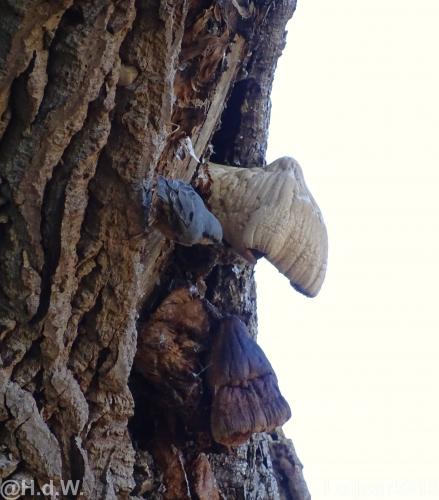 Leijpark 16 &amp; 17 &amp; 18 &amp; 19 augustus 2022 