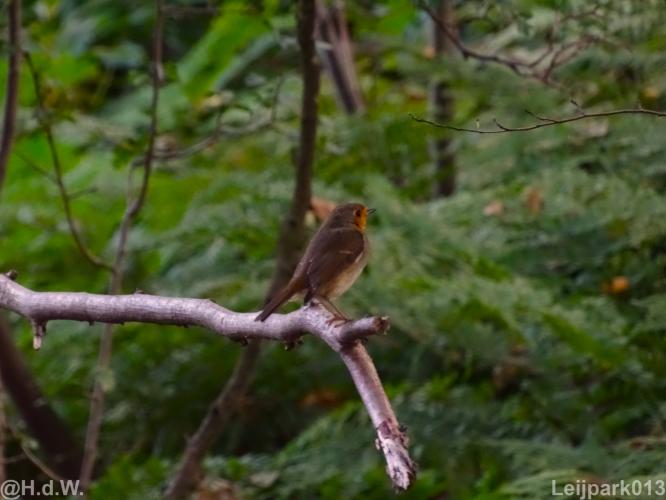 Leijpark 16 &amp; 17 &amp; 18 &amp; 19 augustus 2022 