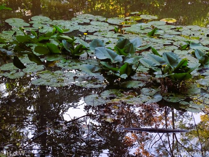 Leijpark 16 &amp; 17 &amp; 18 &amp; 19 augustus 2022 