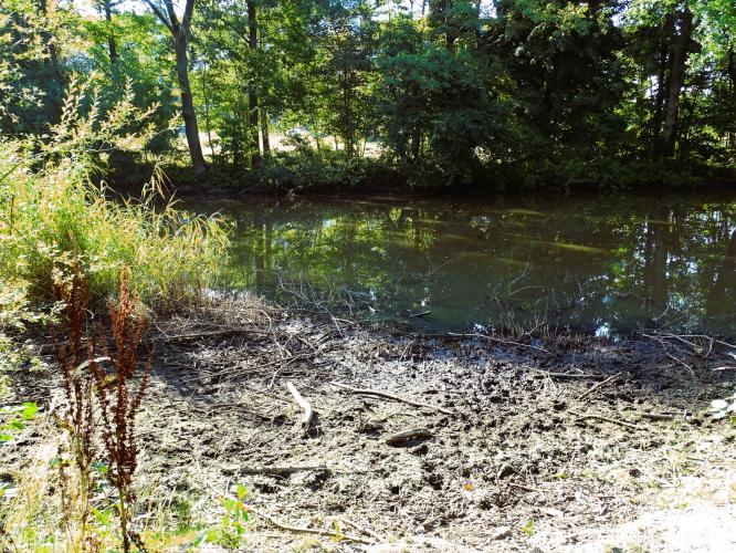 Leijpark 16 &amp; 17 &amp; 18 &amp; 19 augustus 2022 