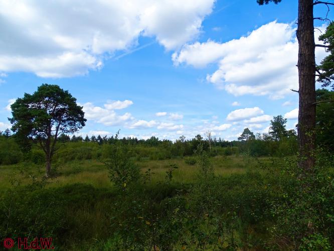 Oisterwijk 21-8-2022