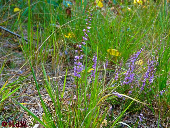 Oisterwijk 21-8-2022