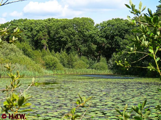 Oisterwijk 21-8-2022