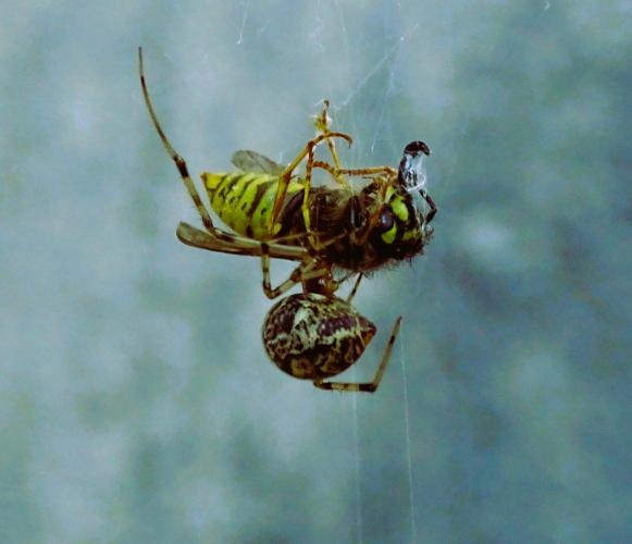 Leijpark013 19 &amp; 20 &amp; 21 &amp; 22 augustus 2022