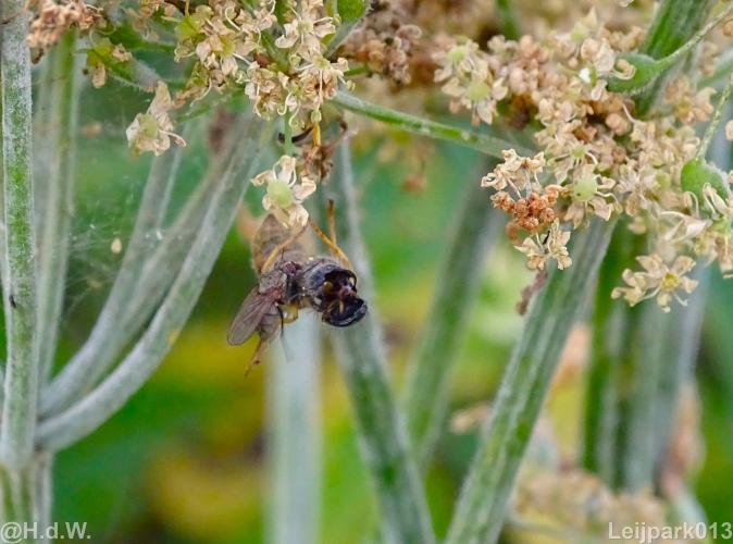Leijpark013 19 &amp; 20 &amp; 21 &amp; 22 augustus 2022
