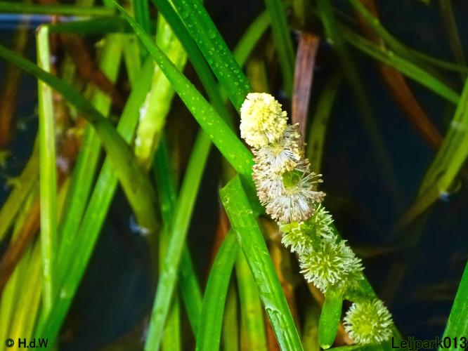 Leijpark013 19 &amp; 20 &amp; 21 &amp; 22 augustus 2022