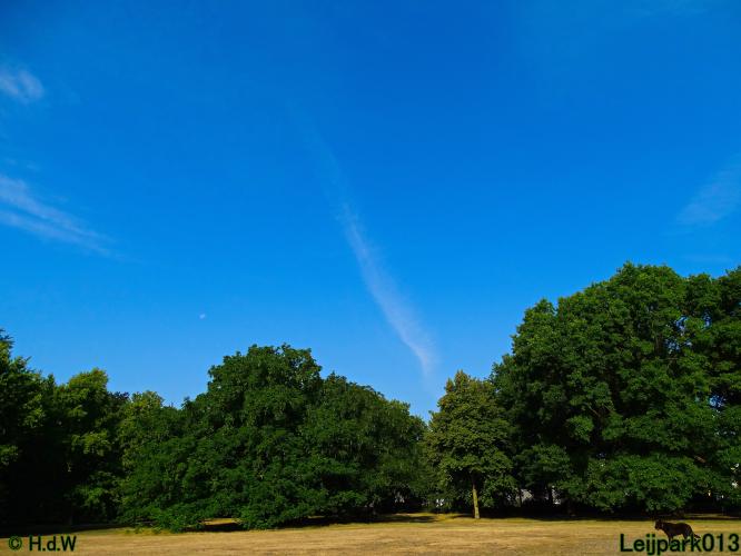 Leijpark013 19 &amp; 20 &amp; 21 &amp; 22 augustus 2022