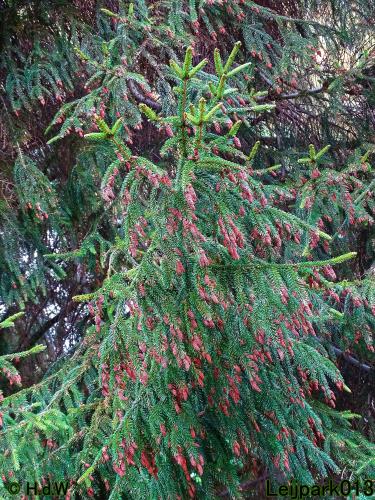 Leijpark013 19 &amp; 20 &amp; 21 &amp; 22 augustus 2022