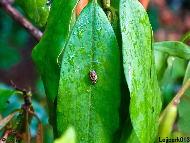Leijpark013 19 &amp; 20 &amp; 21 &amp; 22 augustus 2022