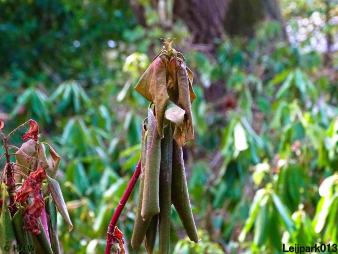 Leijpark013 19 &amp; 20 &amp; 21 &amp; 22 augustus 2022