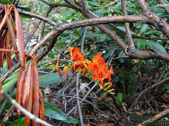 Leijpark013 24 &amp; 25 &amp; 26 &amp; 27 augustus 2022