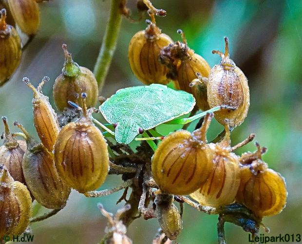 Leijpark013 24 &amp; 25 &amp; 26 &amp; 27 augustus 2022