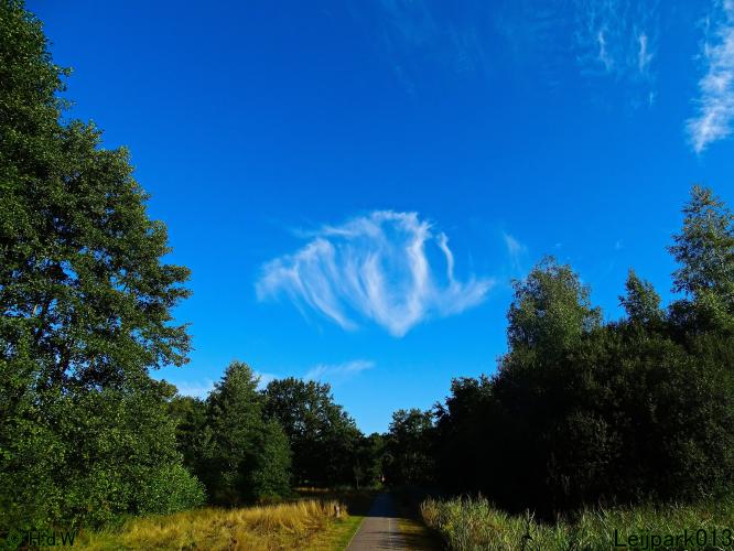 Leijpark013 24 &amp; 25 &amp; 26 &amp; 27 augustus 2022