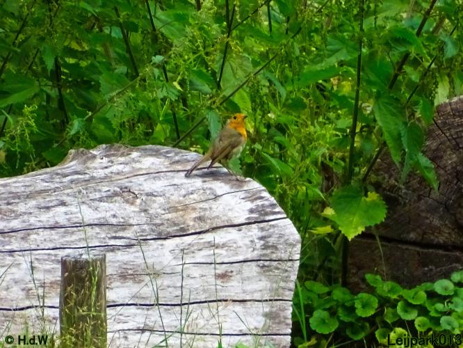 Leijpark013 24 &amp; 25 &amp; 26 &amp; 27 augustus 2022