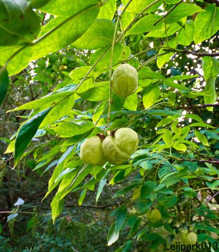 Leijpark013 24 &amp; 25 &amp; 26 &amp; 27 augustus 2022