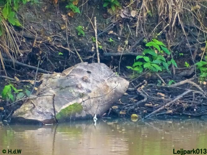 Leijpark013 24 &amp; 25 &amp; 26 &amp; 27 augustus 2022